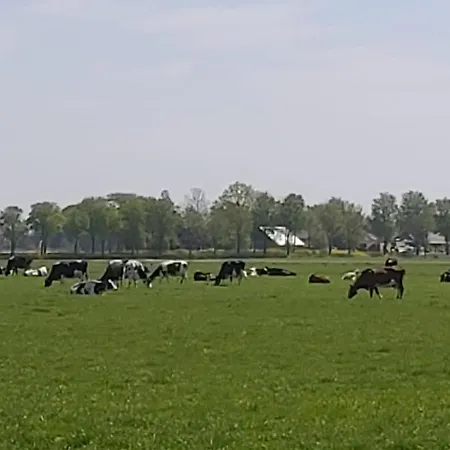 Luxe Gastenverblijf In Het Hart Van Friesland Akkrum Exterior photo