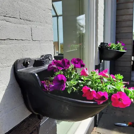 Luxe Gastenverblijf In Het Hart Van Friesland Akkrum Exterior photo