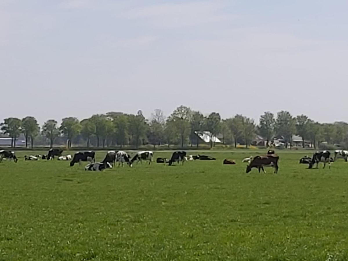 Luxe In Het Hart Friesland *